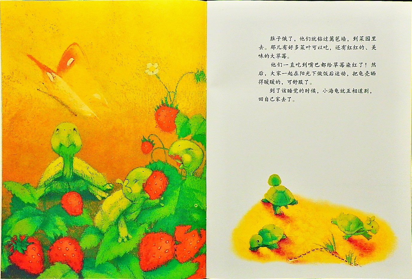 小贝弟的大梦想 (05),绘本,绘本故事,绘本阅读,故事书,童书,图画书,课外阅读